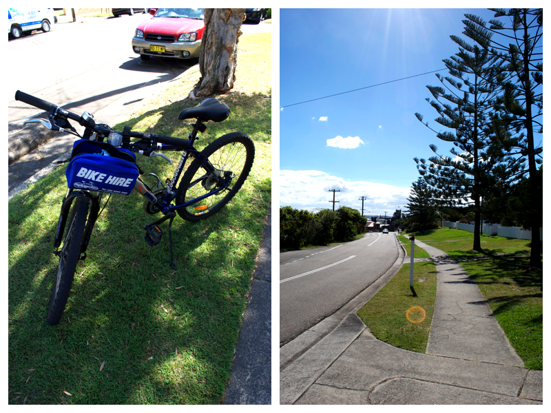 bikeridecollage