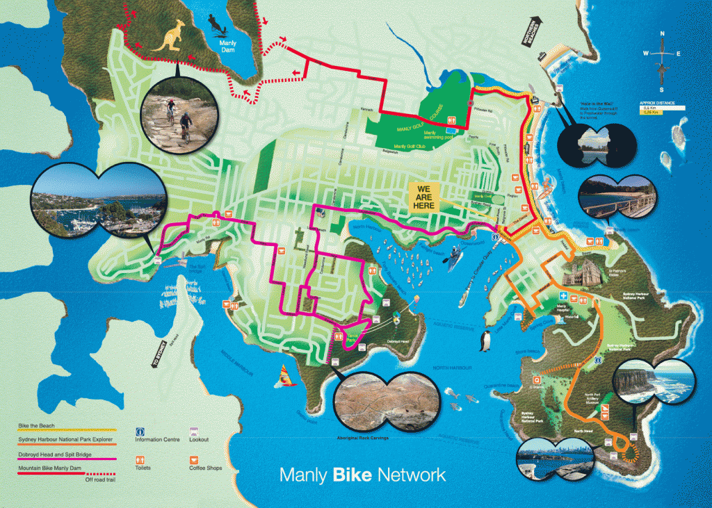 mbt_manlybikenetwork_print