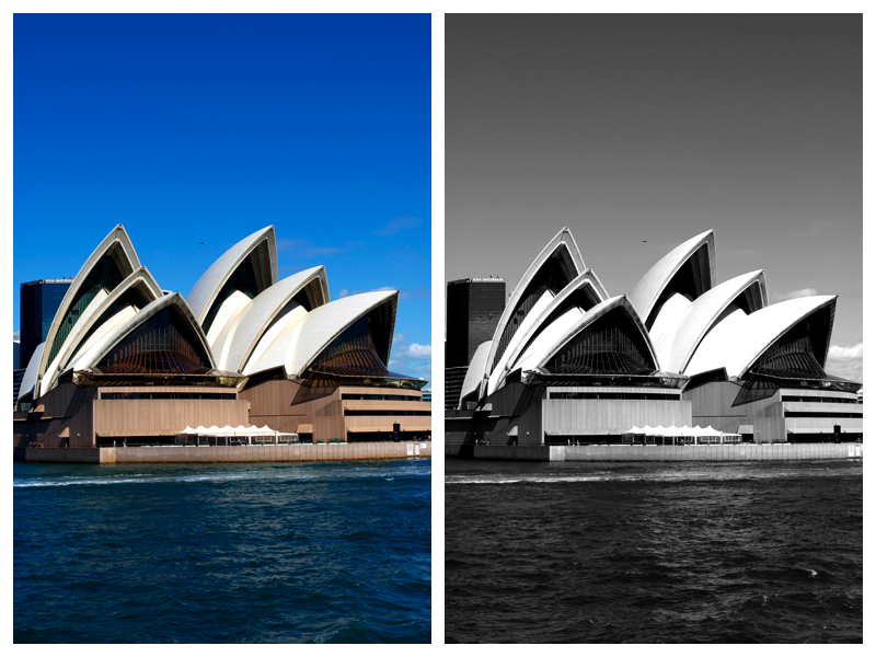 Opera House Collage
