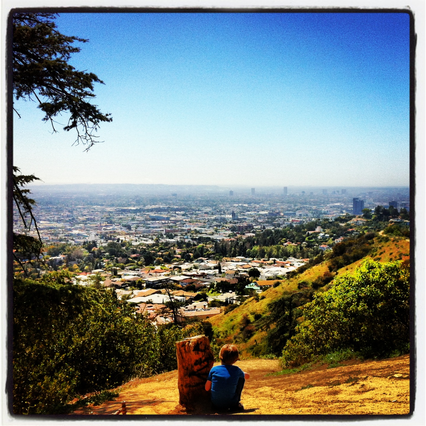 Photo of the Week: Griffith Observatory