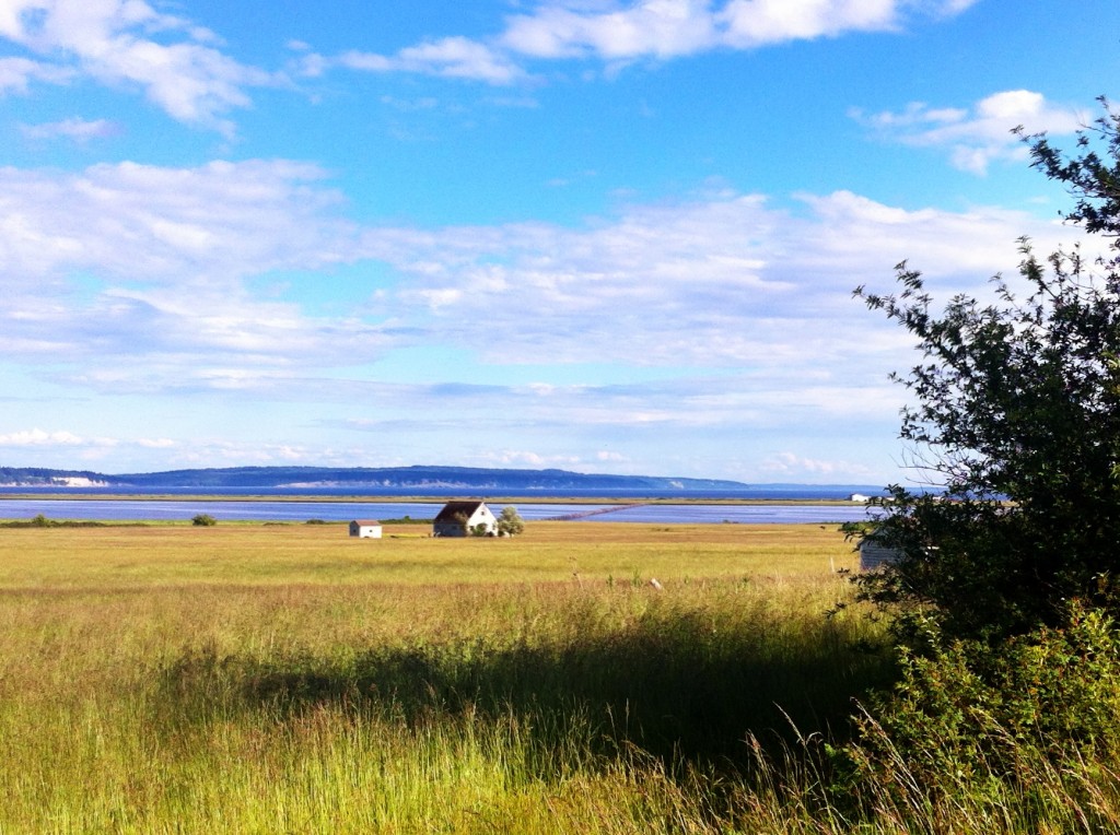 What to Expect When Visiting Oak Harbor, Washington