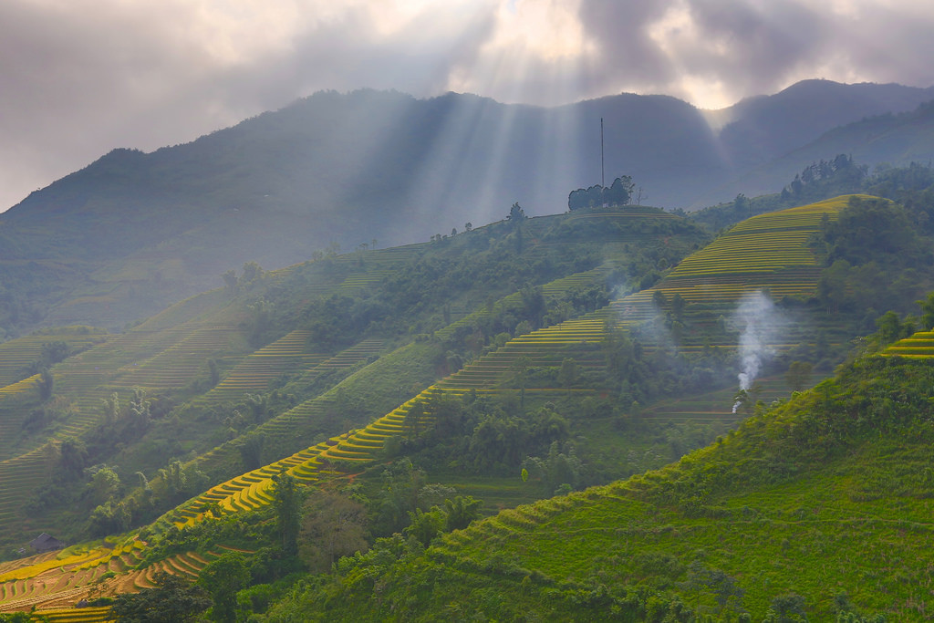Ray over terrace rice field in Sapa - Trung Ch?i.