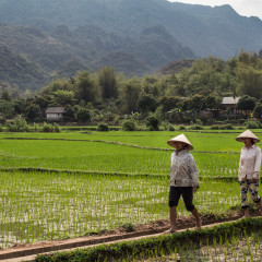 A Glimpse into Vietnamese Life in Mai Chau